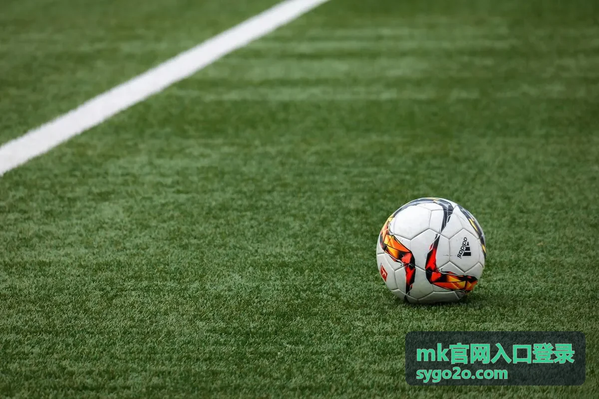 mk官网入口登录 首页总览与最新信息配图